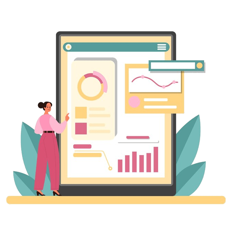 DPP Website Audit Services